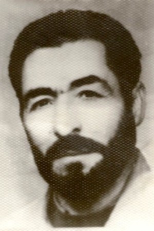 قدرت فرجی